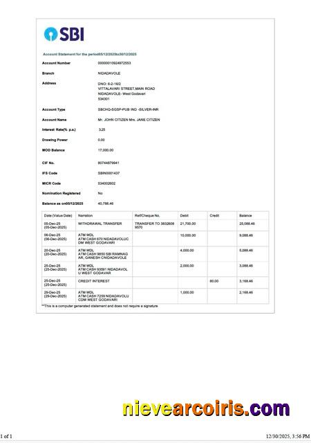 India State Bank of India account statement Word and PDF, version 3